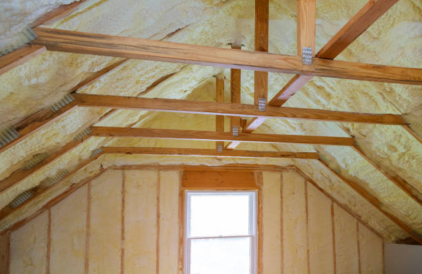 Best Insulation Maintenance and Repair in USA